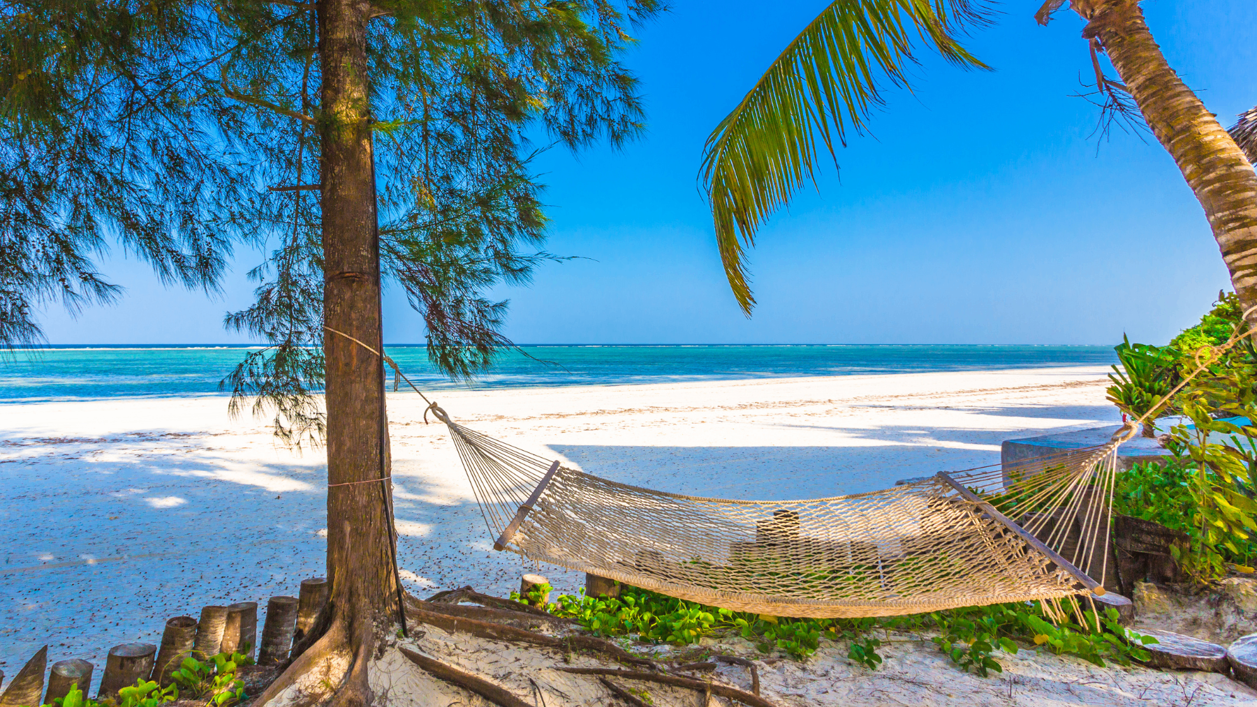 Travel photo of Zanzibar, Tanzania